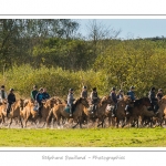 Chaque annÃ©e Ã  l'automne, une grande manifestation est organisÃ©e autour du cheval Henson, race crÃ©Ã©e en Baie de Somme. Les cavaliers de la rÃ©gion viennent et emÃ¨nent le troupeau de juments et de poulains depuis le parc du Marquenterre jusqu'Ã  Saint-Quentin-en-Tourmont oÃ¹ juments et poulains seront sÃ©parÃ©s. Saison : Automne - Lieu : Saint-Quentin-en-Tourmont, Baie de Somme, Somme, Picardie, France