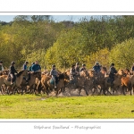 Chaque annÃ©e Ã  l'automne, une grande manifestation est organisÃ©e autour du cheval Henson, race crÃ©Ã©e en Baie de Somme. Les cavaliers de la rÃ©gion viennent et emÃ¨nent le troupeau de juments et de poulains depuis le parc du Marquenterre jusqu'Ã  Saint-Quentin-en-Tourmont oÃ¹ juments et poulains seront sÃ©parÃ©s. Saison : Automne - Lieu : Saint-Quentin-en-Tourmont, Baie de Somme, Somme, Picardie, France