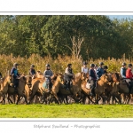 Chaque annÃ©e Ã  l'automne, une grande manifestation est organisÃ©e autour du cheval Henson, race crÃ©Ã©e en Baie de Somme. Les cavaliers de la rÃ©gion viennent et emÃ¨nent le troupeau de juments et de poulains depuis le parc du Marquenterre jusqu'Ã  Saint-Quentin-en-Tourmont oÃ¹ juments et poulains seront sÃ©parÃ©s. Saison : Automne - Lieu : Saint-Quentin-en-Tourmont, Baie de Somme, Somme, Picardie, France