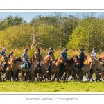 Chaque annÃ©e Ã  l'automne, une grande manifestation est organisÃ©e autour du cheval Henson, race crÃ©Ã©e en Baie de Somme. Les cavaliers de la rÃ©gion viennent et emÃ¨nent le troupeau de juments et de poulains depuis le parc du Marquenterre jusqu'Ã  Saint-Quentin-en-Tourmont oÃ¹ juments et poulains seront sÃ©parÃ©s. Saison : Automne - Lieu : Saint-Quentin-en-Tourmont, Baie de Somme, Somme, Picardie, France