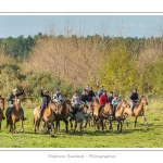 Chaque annÃ©e Ã  l'automne, une grande manifestation est organisÃ©e autour du cheval Henson, race crÃ©Ã©e en Baie de Somme. Les cavaliers de la rÃ©gion viennent et emÃ¨nent le troupeau de juments et de poulains depuis le parc du Marquenterre jusqu'Ã  Saint-Quentin-en-Tourmont oÃ¹ juments et poulains seront sÃ©parÃ©s. Saison : Automne - Lieu : Saint-Quentin-en-Tourmont, Baie de Somme, Somme, Picardie, France