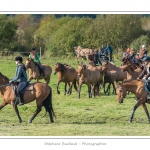 Chaque annÃ©e Ã  l'automne, une grande manifestation est organisÃ©e autour du cheval Henson, race crÃ©Ã©e en Baie de Somme. Les cavaliers de la rÃ©gion viennent et emÃ¨nent le troupeau de juments et de poulains depuis le parc du Marquenterre jusqu'Ã  Saint-Quentin-en-Tourmont oÃ¹ juments et poulains seront sÃ©parÃ©s. Saison : Automne - Lieu : Saint-Quentin-en-Tourmont, Baie de Somme, Somme, Picardie, France