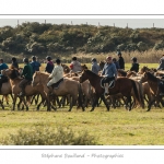 Chaque annÃ©e Ã  l'automne, une grande manifestation est organisÃ©e autour du cheval Henson, race crÃ©Ã©e en Baie de Somme. Les cavaliers de la rÃ©gion viennent et emÃ¨nent le troupeau de juments et de poulains depuis le parc du Marquenterre jusqu'Ã  Saint-Quentin-en-Tourmont oÃ¹ juments et poulains seront sÃ©parÃ©s. Saison : Automne - Lieu : Saint-Quentin-en-Tourmont, Baie de Somme, Somme, Picardie, France