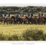 Chaque annÃ©e Ã  l'automne, une grande manifestation est organisÃ©e autour du cheval Henson, race crÃ©Ã©e en Baie de Somme. Les cavaliers de la rÃ©gion viennent et emÃ¨nent le troupeau de juments et de poulains depuis le parc du Marquenterre jusqu'Ã  Saint-Quentin-en-Tourmont oÃ¹ juments et poulains seront sÃ©parÃ©s. Saison : Automne - Lieu : Saint-Quentin-en-Tourmont, Baie de Somme, Somme, Picardie, France