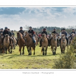 Chaque annÃ©e Ã  l'automne, une grande manifestation est organisÃ©e autour du cheval Henson, race crÃ©Ã©e en Baie de Somme. Les cavaliers de la rÃ©gion viennent et emÃ¨nent le troupeau de juments et de poulains depuis le parc du Marquenterre jusqu'Ã  Saint-Quentin-en-Tourmont oÃ¹ juments et poulains seront sÃ©parÃ©s. Saison : Automne - Lieu : Saint-Quentin-en-Tourmont, Baie de Somme, Somme, Picardie, France