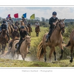 Chaque annÃ©e Ã  l'automne, une grande manifestation est organisÃ©e autour du cheval Henson, race crÃ©Ã©e en Baie de Somme. Les cavaliers de la rÃ©gion viennent et emÃ¨nent le troupeau de juments et de poulains depuis le parc du Marquenterre jusqu'Ã  Saint-Quentin-en-Tourmont oÃ¹ juments et poulains seront sÃ©parÃ©s. Saison : Automne - Lieu : Saint-Quentin-en-Tourmont, Baie de Somme, Somme, Picardie, France