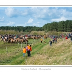 Chaque annÃ©e Ã  l'automne, une grande manifestation est organisÃ©e autour du cheval Henson, race crÃ©Ã©e en Baie de Somme. Les cavaliers de la rÃ©gion viennent et emÃ¨nent le troupeau de juments et de poulains depuis le parc du Marquenterre jusqu'Ã  Saint-Quentin-en-Tourmont oÃ¹ juments et poulains seront sÃ©parÃ©s. Saison : Automne - Lieu : Saint-Quentin-en-Tourmont, Baie de Somme, Somme, Picardie, France