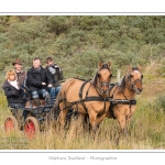 Chaque annÃ©e Ã  l'automne, une grande manifestation est organisÃ©e autour du cheval Henson, race crÃ©Ã©e en Baie de Somme. Les cavaliers de la rÃ©gion viennent et emÃ¨nent le troupeau de juments et de poulains depuis le parc du Marquenterre jusqu'Ã  Saint-Quentin-en-Tourmont oÃ¹ juments et poulains seront sÃ©parÃ©s. Saison : Automne - Lieu : Saint-Quentin-en-Tourmont, Baie de Somme, Somme, Picardie, France