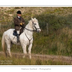 Chaque annÃ©e Ã  l'automne, une grande manifestation est organisÃ©e autour du cheval Henson, race crÃ©Ã©e en Baie de Somme. Les cavaliers de la rÃ©gion viennent et emÃ¨nent le troupeau de juments et de poulains depuis le parc du Marquenterre jusqu'Ã  Saint-Quentin-en-Tourmont oÃ¹ juments et poulains seront sÃ©parÃ©s. Saison : Automne - Lieu : Saint-Quentin-en-Tourmont, Baie de Somme, Somme, Picardie, France