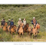 Chaque annÃ©e Ã  l'automne, une grande manifestation est organisÃ©e autour du cheval Henson, race crÃ©Ã©e en Baie de Somme. Les cavaliers de la rÃ©gion viennent et emÃ¨nent le troupeau de juments et de poulains depuis le parc du Marquenterre jusqu'Ã  Saint-Quentin-en-Tourmont oÃ¹ juments et poulains seront sÃ©parÃ©s. Saison : Automne - Lieu : Saint-Quentin-en-Tourmont, Baie de Somme, Somme, Picardie, France