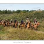 Chaque annÃ©e Ã  l'automne, une grande manifestation est organisÃ©e autour du cheval Henson, race crÃ©Ã©e en Baie de Somme. Les cavaliers de la rÃ©gion viennent et emÃ¨nent le troupeau de juments et de poulains depuis le parc du Marquenterre jusqu'Ã  Saint-Quentin-en-Tourmont oÃ¹ juments et poulains seront sÃ©parÃ©s. Saison : Automne - Lieu : Saint-Quentin-en-Tourmont, Baie de Somme, Somme, Picardie, France