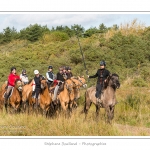 Chaque annÃ©e Ã  l'automne, une grande manifestation est organisÃ©e autour du cheval Henson, race crÃ©Ã©e en Baie de Somme. Les cavaliers de la rÃ©gion viennent et emÃ¨nent le troupeau de juments et de poulains depuis le parc du Marquenterre jusqu'Ã  Saint-Quentin-en-Tourmont oÃ¹ juments et poulains seront sÃ©parÃ©s. Saison : Automne - Lieu : Saint-Quentin-en-Tourmont, Baie de Somme, Somme, Picardie, France