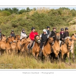 Chaque annÃ©e Ã  l'automne, une grande manifestation est organisÃ©e autour du cheval Henson, race crÃ©Ã©e en Baie de Somme. Les cavaliers de la rÃ©gion viennent et emÃ¨nent le troupeau de juments et de poulains depuis le parc du Marquenterre jusqu'Ã  Saint-Quentin-en-Tourmont oÃ¹ juments et poulains seront sÃ©parÃ©s. Saison : Automne - Lieu : Saint-Quentin-en-Tourmont, Baie de Somme, Somme, Picardie, France