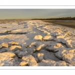 Vague de froid sur la Baie de Somme