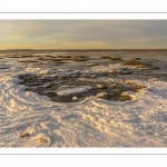 Vague de froid sur la Baie de Somme