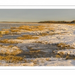 Vague de froid sur la Baie de Somme