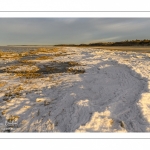 Vague de froid sur la Baie de Somme