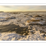 Vague de froid sur la Baie de Somme