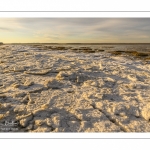 Vague de froid sur la Baie de Somme