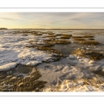 Vague de froid sur la Baie de Somme