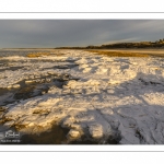 Vague de froid sur la Baie de Somme