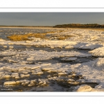 Vague de froid sur la Baie de Somme