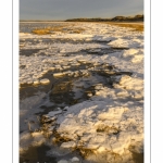 Vague de froid sur la Baie de Somme