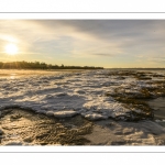 Vague de froid sur la Baie de Somme