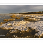 Vague de froid sur la Baie de Somme