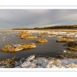 Vague de froid sur la Baie de Somme