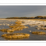 Vague de froid sur la Baie de Somme