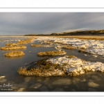 Vague de froid sur la Baie de Somme