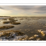 Vague de froid sur la Baie de Somme