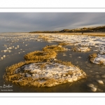 Vague de froid sur la Baie de Somme