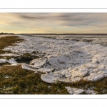 Vague de froid sur la Baie de Somme