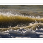 Vagues, écume et éclaboussures