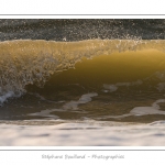 Gros plan sur les vagues qui viennent s'Ã©craser sur la plage de Fort-Mahon - Saison : Hiver - Lieu :  Fort-Mahon, cÃ´te Picarde, Somme, Picardie, France