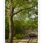 Abbaye et Jardins de Valloires