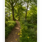 Abbaye et Jardins de Valloires