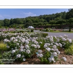 Abbaye et Jardins de Valloires