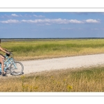 Promeneurs le long du chenal de la Somme au Cap Hornu