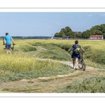 Promeneurs le long du chenal de la Somme au Cap Hornu