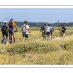 Promeneurs le long du chenal de la Somme au Cap Hornu