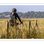 cyclistes sur la promenade autour du bassin de chasse du Crotoy