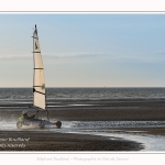 Chars_a_voile_Quend_Plage_14_04_2017_070-border
