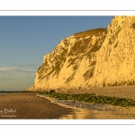 Les falaises du Cap Blanc-Nez