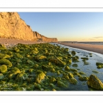 Les falaises du Cap Blanc-Nez