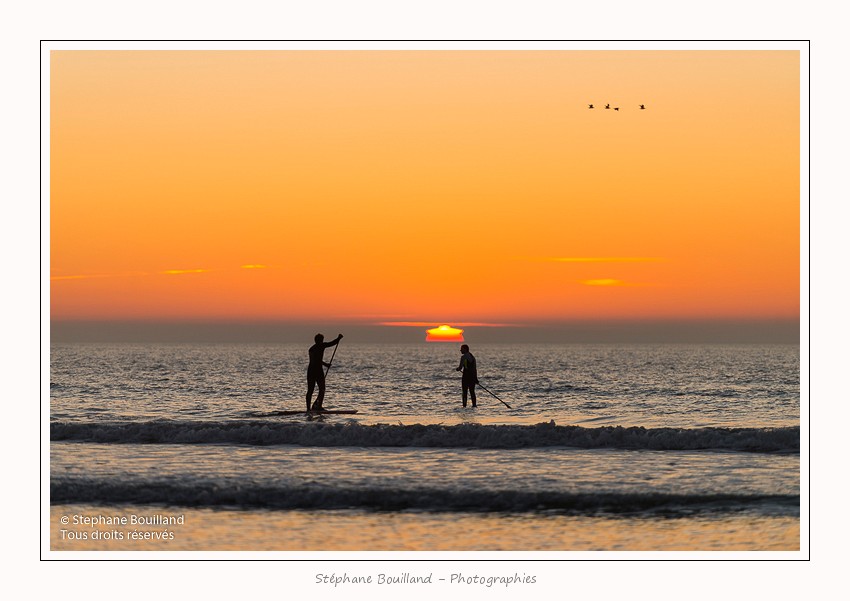 Saison : Hiver - Lieu : Quend-Plage, Marquenterre, Somme, Picardie, France